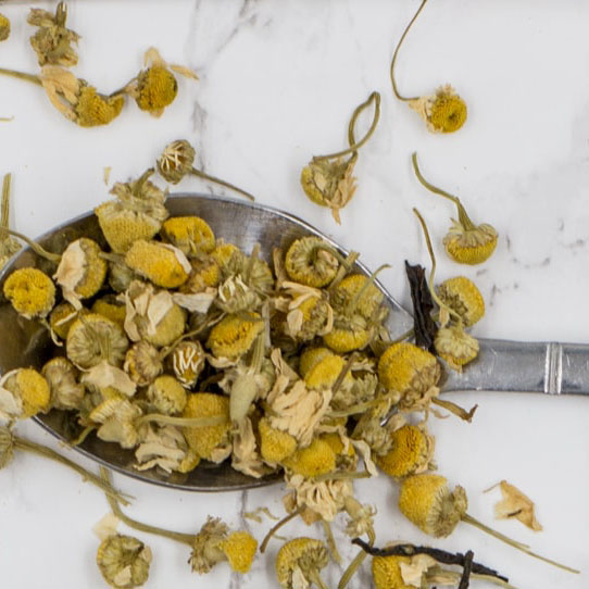 Roman Chamomile